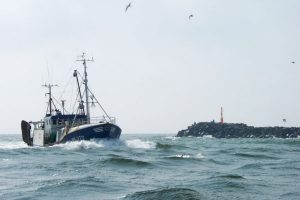 rI 372 Anni Nielsen i indsejlingen godt lastet med industrifisk. - foto: FiskerForum