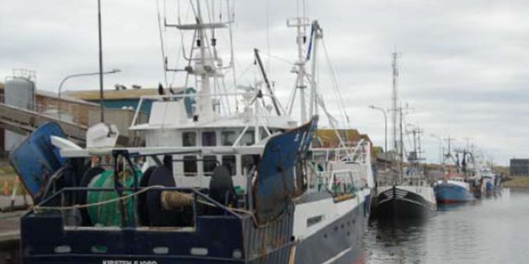 DanFish: En udfordret Havn tager dialogen med fiskerne. foto: Hvide Sande Havn