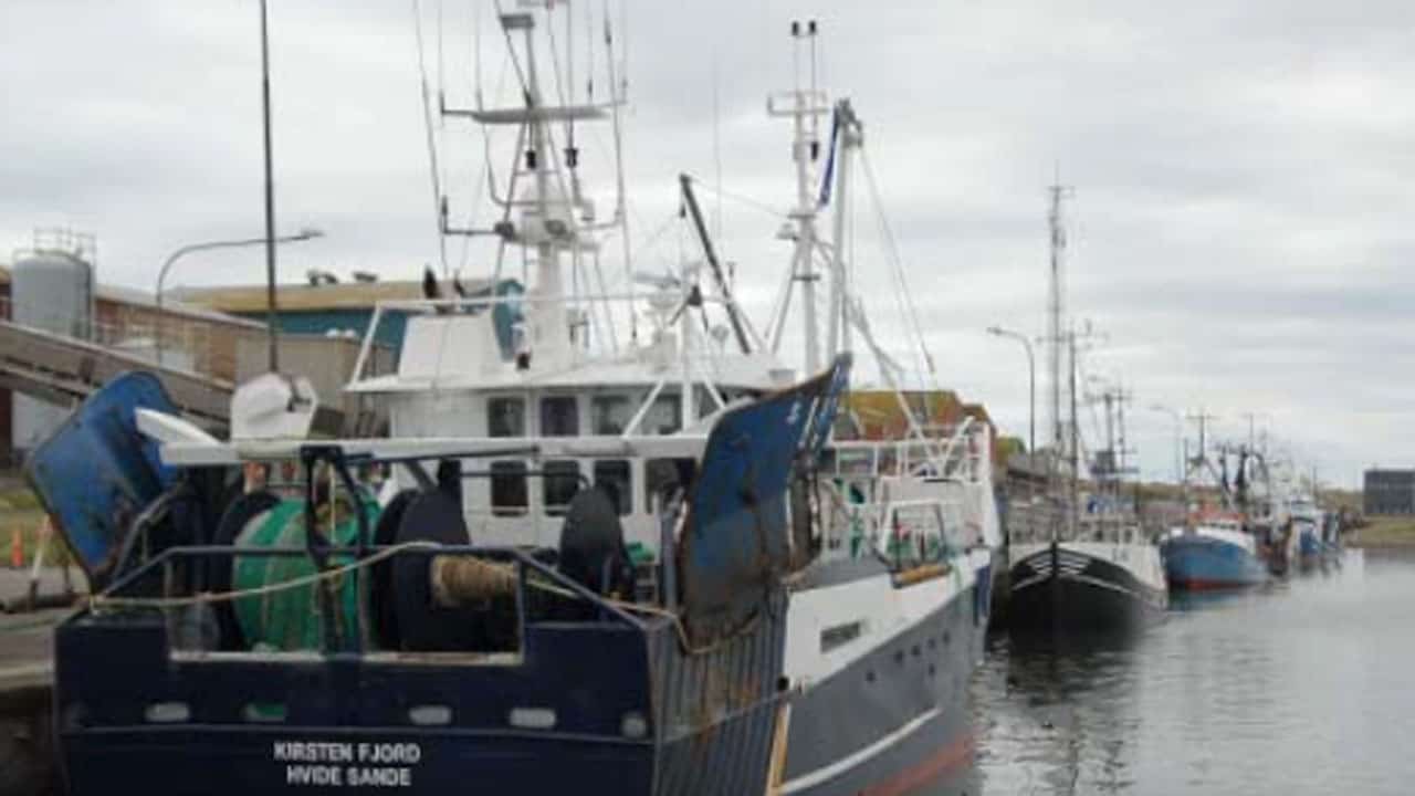 Read more about the article DanFish: En udfordret Havn tager dialogen med fiskerne