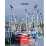 Hvide Sande Havn lander et flot årsresultat for 2025 med solid fremgang på bundlinjen. foto HvideSandeHavn
