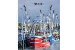 Hvide Sande Havn lander et flot årsresultat for 2025 med solid fremgang på bundlinjen. foto HvideSandeHavn