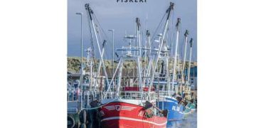 Hvide Sande Havn lander et flot årsresultat for 2025 med solid fremgang på bundlinjen. foto HvideSandeHavn