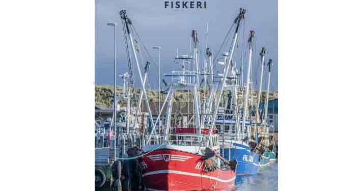 Hvide Sande Havn lander et flot årsresultat for 2025 med solid fremgang på bundlinjen. foto HvideSandeHavn