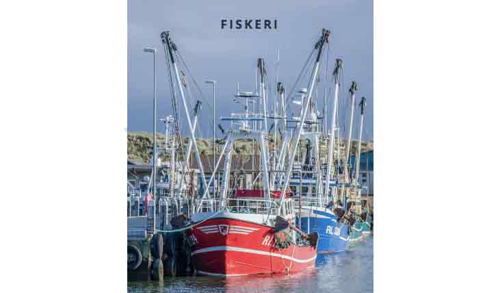 Read more about the article Trods havvinds-boom: Industrifisk og krabber polstrer Hvide Sande Havn med millioner
