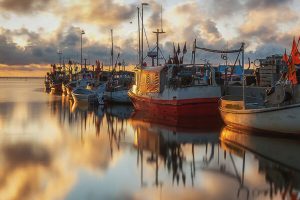 Det norske fiskeselskab First Seafood har overtaget Amanda Seafoods’ fabrik Insula i Hvide Sande, som specialiserer sig i laksefilet og pakning af fisk og skaldyr. 
foto: Hvide Sande Havn - Insula