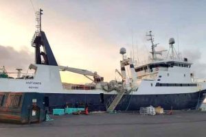 Frysetrawleren **Hvítanes** har i denne uge landet en fangst på omkring 200 tons frossen hellefisk, som er fisket ved Flemish Cap. foto: Canadian Fisheries
