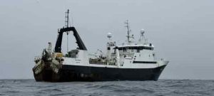 Hvítanes afleverede 370 tons i Båtsfjord. foto: Sigge Danielsen
