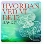 Havet gemmer på flere hemmeligheder, end du tror - Videnskabernes selskab