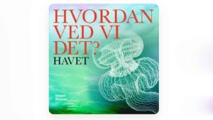 Havet gemmer på flere hemmeligheder, end du tror - Videnskabernes selskab