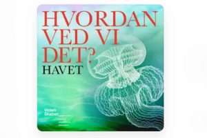 Havet gemmer på flere hemmeligheder, end du tror - Videnskabernes selskab