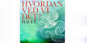 Havet gemmer på flere hemmeligheder, end du tror - Videnskabernes selskab