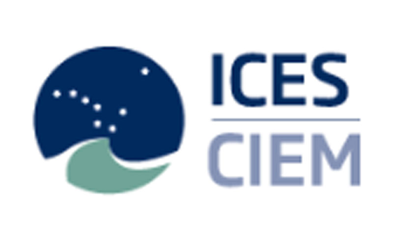 Read more about the article Hvilken rolle skal »ICES Science« spille i fremtiden