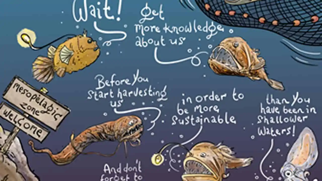 Read more about the article Dybhavsfiskeri med potientielt 10 mia. tons uudnyttede biomasse
