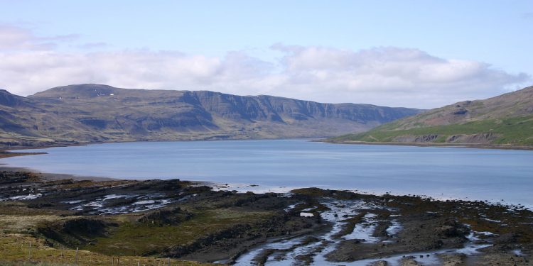 En fangst der blev taget efter en tur til vestfjordene vest for Island - foto: Wikipedia