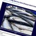 De danske fiskere står over for et 2027 med både markant fremgang og voldsom tilbagegang. Mens rådgivningen for nordsøsild stiger med 38 procent, lægger ICES op til en reduktion i brislingefiskeriet på hele 65 procent. foto: ICES
