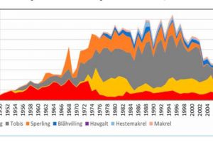 Foto:(MID) Samlede fangster af pelagiske arter både til konsum og proteinproduktion fra 1950 til 2015. Men der mangler forklaringer på