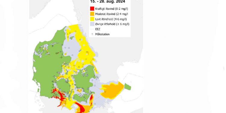 Iltsvindsrapport fra den 15. til og med den 28. august 2024 illustration DCE