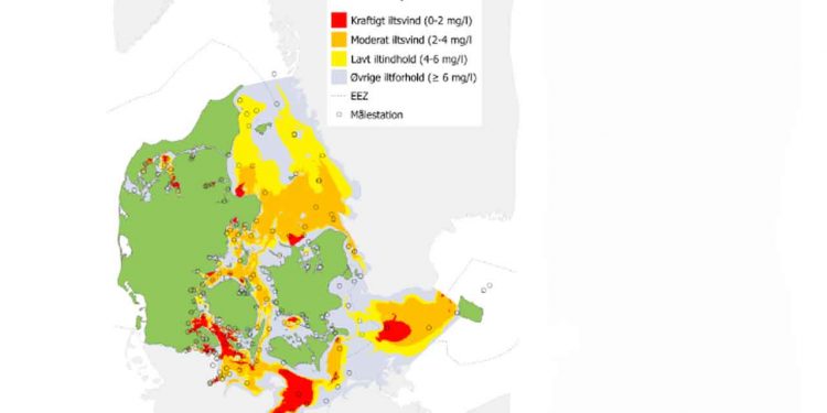 6-25. sept 2024 - Det samlede areal berørt af iltsvind i de indre danske farvande er steget markant siden 2010. I nogle områder var op til halvdelen af vandsøjlen påvirket af overvejende kraftigt iltsvind, og det berørte vandvolumen var i september 2024 godt 80 % større end i september 2023. Illustration: DCE