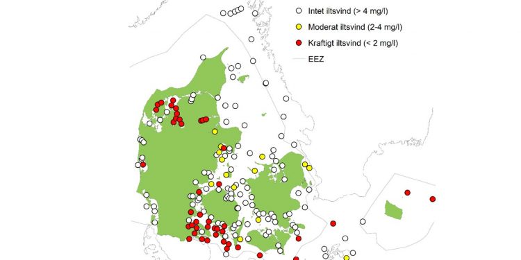 Du kan læse det faglige notat om iltsvind i danske farvande - foto: DCE