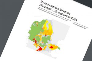 Flere mener »Iltsvindsrapporten« både er »Misvisende og metodologisk inkonsistent« snapshot Iltsvindsrapporten DCE