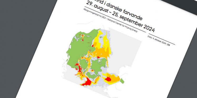 Flere mener »Iltsvindsrapporten« både er »Misvisende og metodologisk inkonsistent« snapshot Iltsvindsrapporten DCE