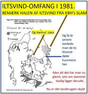 Fortidens synder er ›ikke‹ glemt, men gemt på havbunden foto: MST