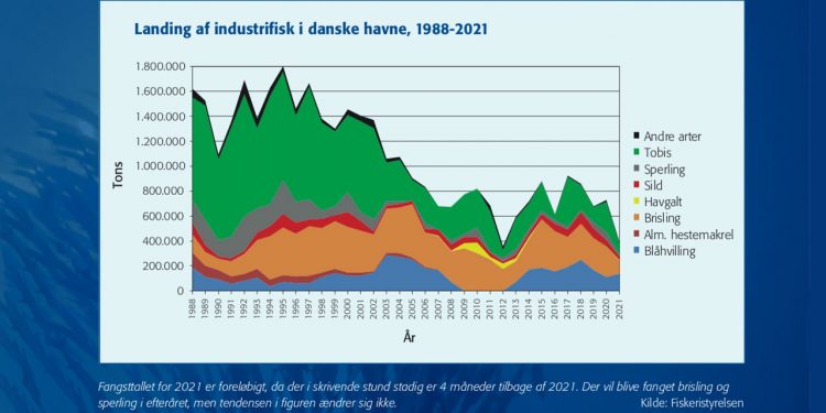 Fangsttallet for 2021 er foreløbigt, da der i skrivende stund stadig er 4 måneder tilbage af 2021. Der vil blive fanget brisling og sperling i efteråret, men tendensen i figuren ændrer sig ikke.  ill: Fiskeristyrelsen