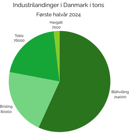 Read more about the article Flest blåhvilling blev trukket i land til industribrug i første halvår af 2024