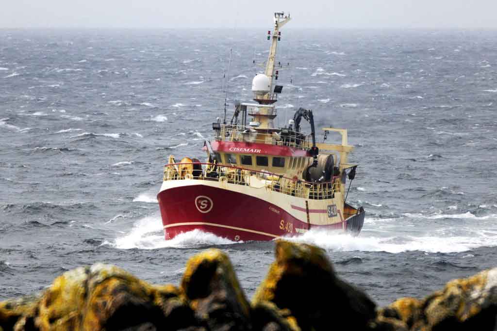 Read more about the article Tid til at stoppe den store irske gavebod af fisk