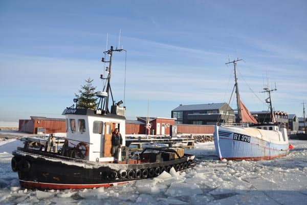 Read more about the article Isen skulle ikke forhindre fiskeriet efter brislinger