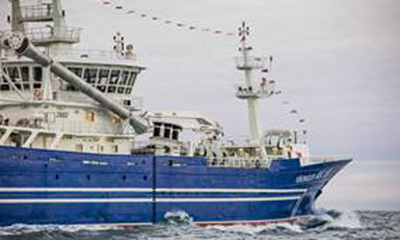 Read more about the article Den islandske fiskerisektor rammes igen af strejke