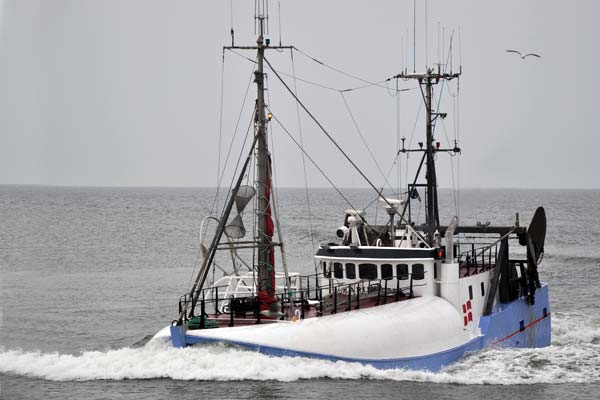 Read more about the article Fiskeridirektoratets orientering vedrørende tobisfiskeriet 2011