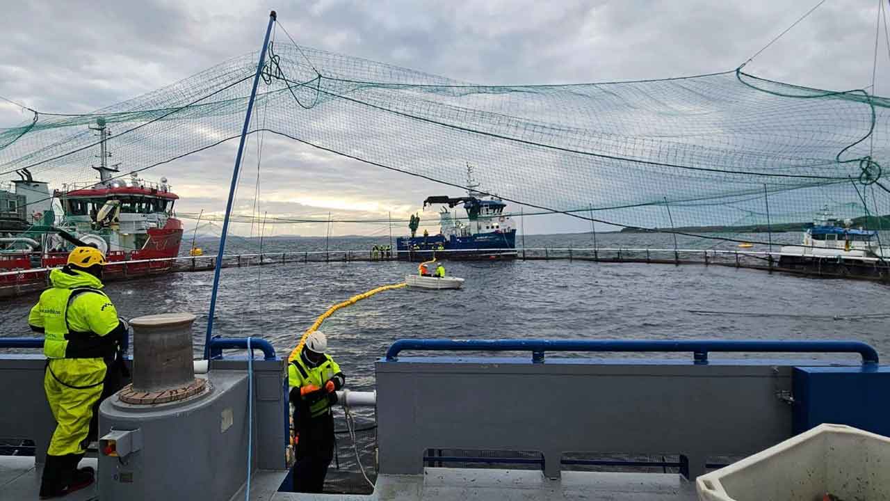 Med dykkerhold og fjernstyrede ROV’er i vandet og et tæt samarbejde fra kontrolrummet på land kunne Sulefisk-teamet nu holde et skarpt øje med tunfisken og sikre, at laksene forblev i sikkerhed.  foto: fb sulefisk