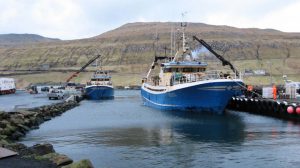 Den er fuldt gang i fiskeriet på færøerne lige for tiden. Tilførte mængder af blåhvillinger lader til at holde ved endnu, samtidig kører fiskeriet efter sej og torsk, både trawl, garn og krogfanget.