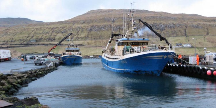 Den er fuldt gang i fiskeriet på færøerne lige for tiden. Tilførte mængder af blåhvillinger lader til at holde ved endnu, samtidig kører fiskeriet efter sej og torsk, både trawl, garn og krogfanget.