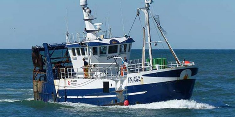 Makaber fangst i trawlet.  Arkivfoto: Jeanne fra Strandby fik natten til mandag en makaber fangst i trawlet. Hylke