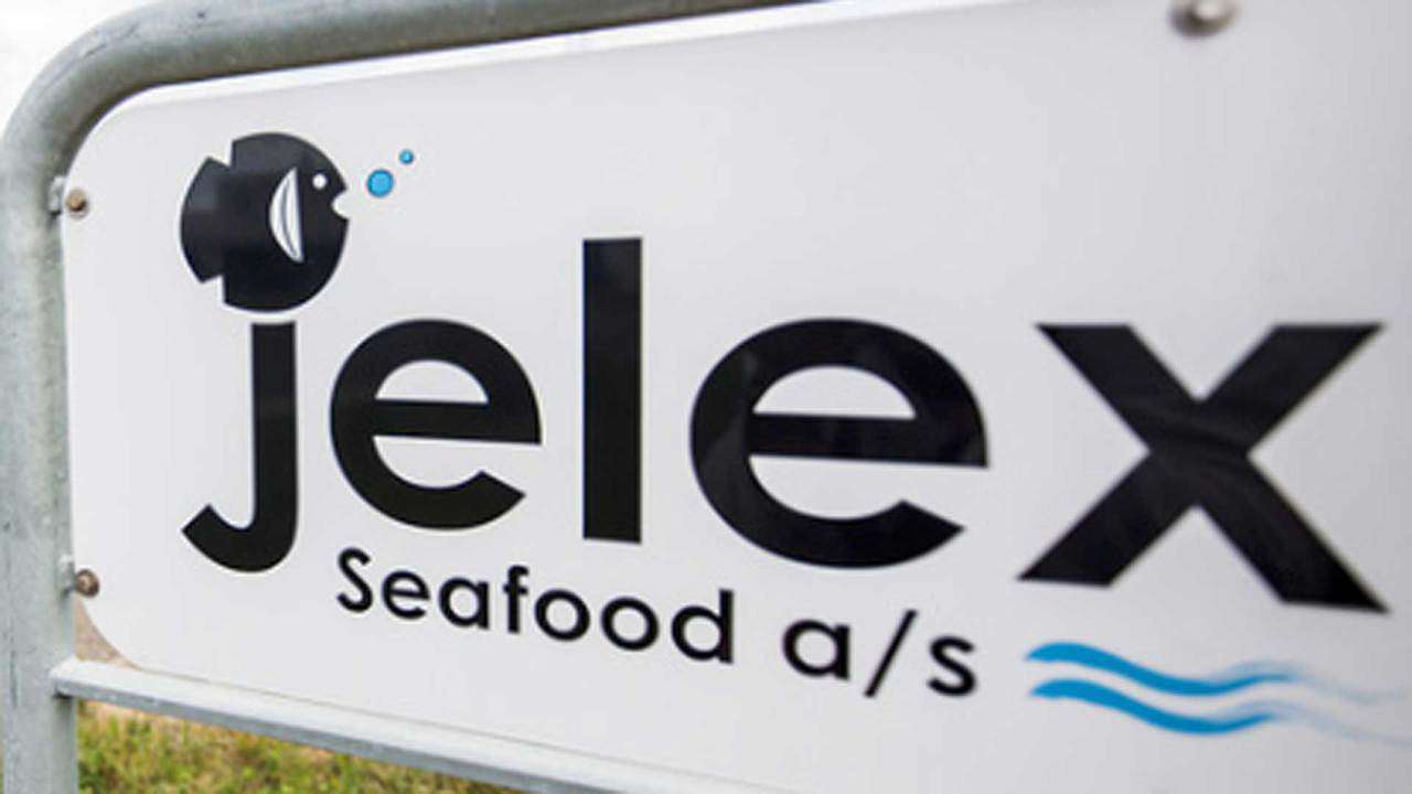 Read more about the article Jelex Seafood A/S er taget under konkursbehandling