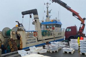 Blandt andet har den færøske trawler Jens Leon, på knapt 22 meter, i sidste uge landet en last på 370 kasser til Scrabster i det nordlige Skotland, som de har fisket ud for færøerne. foto: FS Fiskur.fo