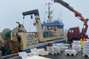 I Leirvík landede den mindre trawler Jens Leon i sidste uge en last på 55.000 pund, hvoraf det meste var torsk. foto: KDgeis5