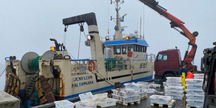 I Leirvík landede den mindre trawler Jens Leon i sidste uge en last på 55.000 pund, hvoraf det meste var torsk. foto: KDgeis5