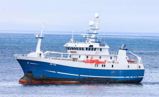 I Kollefjord landede det 45 meter lange fryselineskib Jógvan I med hjemhavn Toftir tilsvarende en pæn last frossen fisk på 321 tons