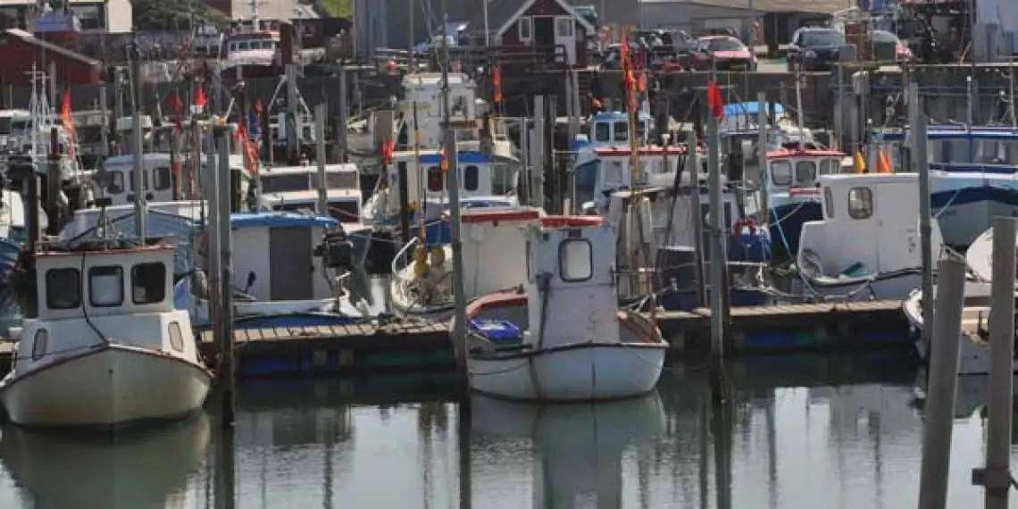 Read more about the article Ændring af reglerne for bierhvervsfiskere