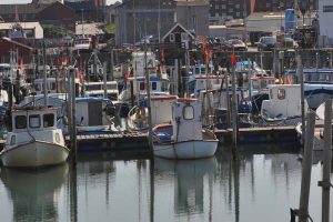 Nordjysk kystfiskerforening gik på generalforsamlingen ind for HavFriskFisk. Foto: jollehavnen Hirtshals - FiskerForum