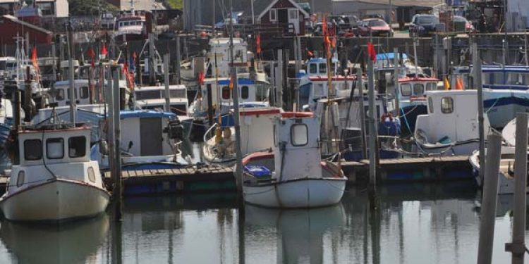 EU Kommissionen tager initiativ til at støtte den blå vækst.  Arkivfoto: Hirtshals Havn - FiskerForum
