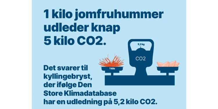 jomfruhummer dfpo