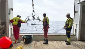 Forskere advarer om, at havvindprojekter kan ændre havets økosystem. Nu kortlægger norske forskere fisk og havpattedyr for at forstå konsekvenserne. foto: Jostein Salskaar - HI.no