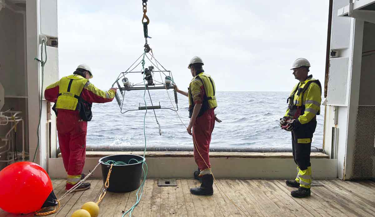 Read more about the article Vindmøller kan forstyrre fiskebestande i Nordsøen