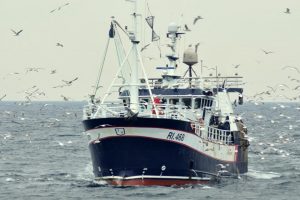Midlertidig aftale giver fiskeriet et pusterum, men løser ikke problemerne, siger DFPO