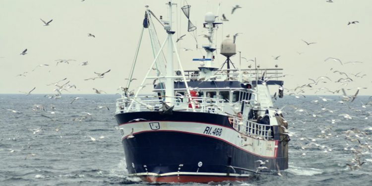 Midlertidig aftale giver fiskeriet et pusterum, men løser ikke problemerne, siger DFPO