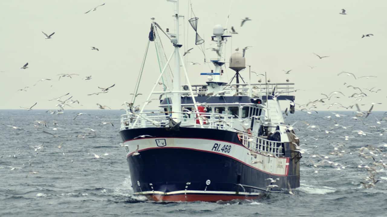 Read more about the article Midlertidig aftale giver fiskeriet et pusterum, men løser ikke problemerne, siger DFPO